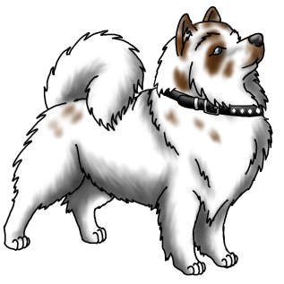 Nanuq